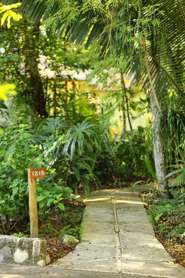 Villa Maya Flores Extérieur photo