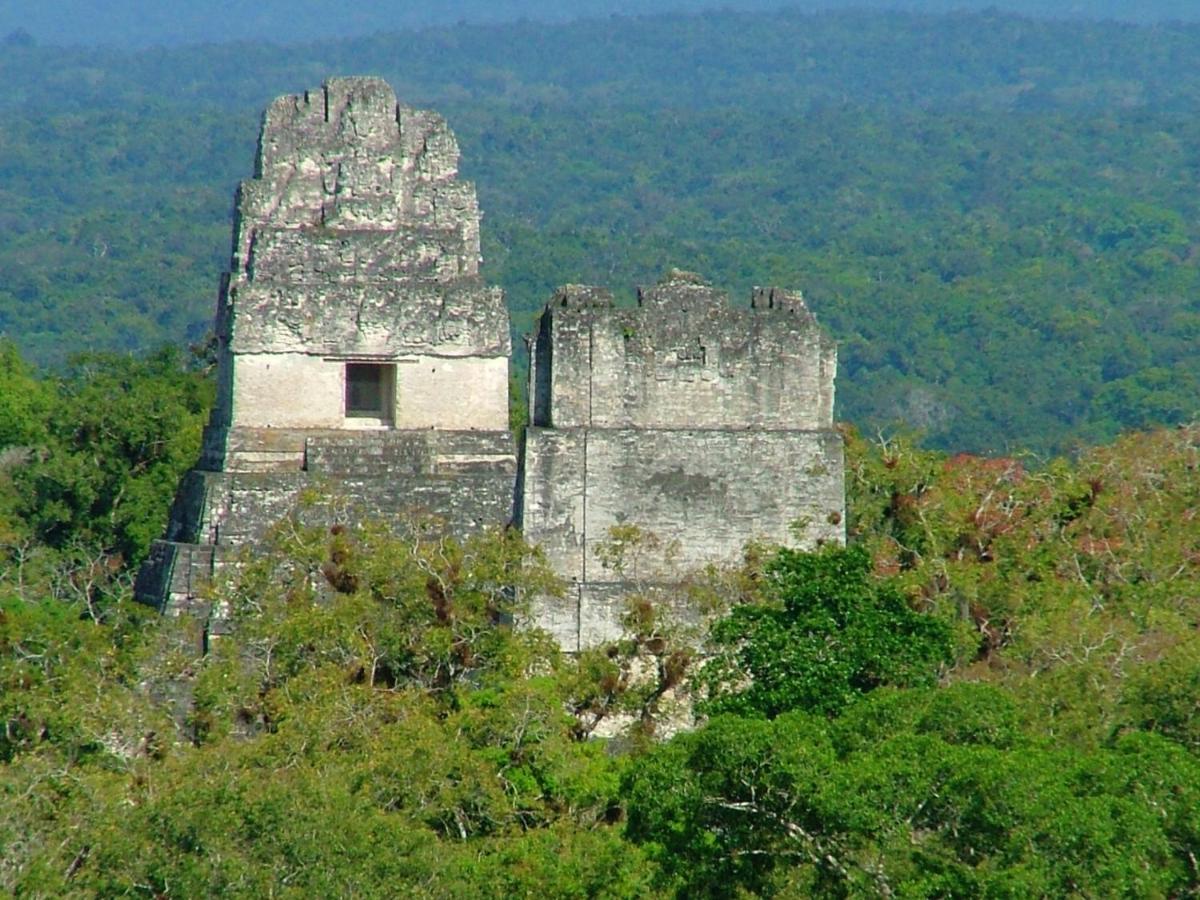 Villa Maya Flores Extérieur photo